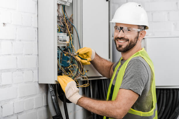 Best Home Electrical Repair  in Svis, IL