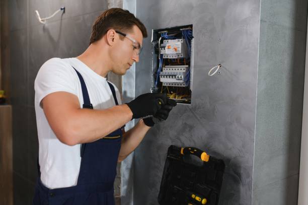 Best Ceiling Fan Installation Electrician  in Svis, IL